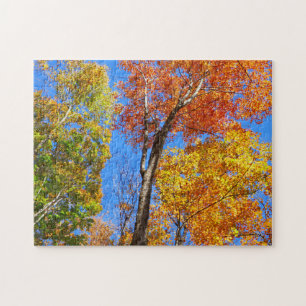 Drie tinten kleurrijke Herfst esdoorn bomen Legpuzzel