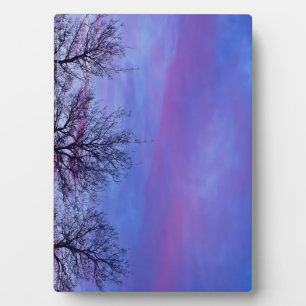 Drie Topjes Fotoplaat