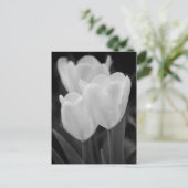 Drie Tulpen Briefkaart (Staand voorkant)