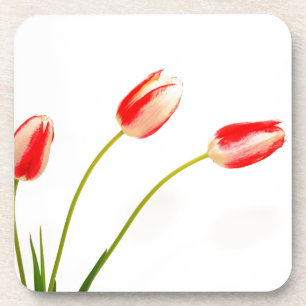 Drie Tulpen op wit Bier Onderzetter