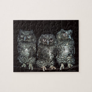 drie uilen legpuzzel