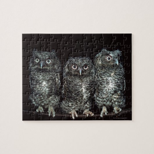 drie uilen legpuzzel (Horizontaal)