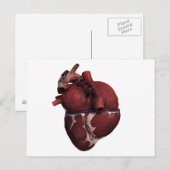 Drie Uitzicht met een dikke kop, achteraan Briefkaart (Voorkant / Achterkant)