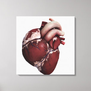 Drie Uitzichten met een dikke kop, voorzijde Canvas Afdruk
