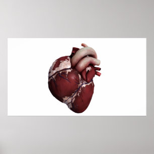 Drie Uitzichten met een dikke kop, voorzijde Poster