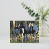 Drie verfpaarden die samen staan briefkaart (Staand voorkant)