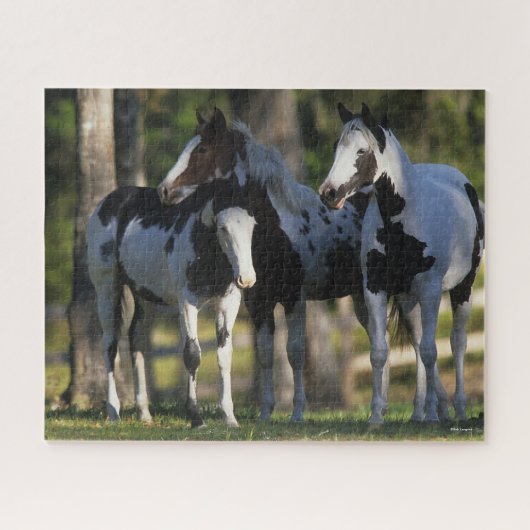 Drie verfpaarden die samen staan legpuzzel (Horizontaal)