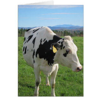 Drie verouderde kabeljauw 5x7