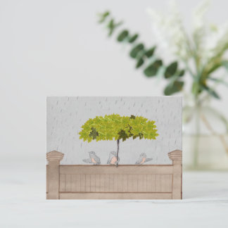 Drie vogels in de regen briefkaart