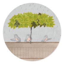 Drie vogels in de regen