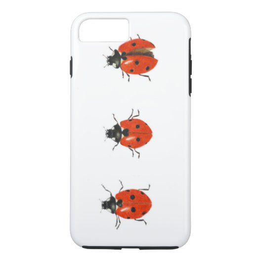 Drie vogelsoorten 2013 Case-Mate iPhone case (Achterkant)