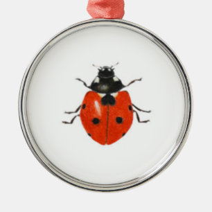 Drie vogelsoorten 2013 metalen ornament