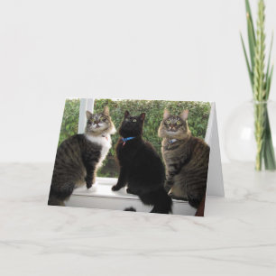 Drie vriendenkaart voor de 'tijd voor de klok' kaart