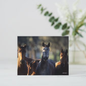 Drie Warmblokjes met achtergrondverlichting Briefkaart (Staand voorkant)