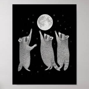 Drie wasberen en maan wasbeer meme Hallo Poster