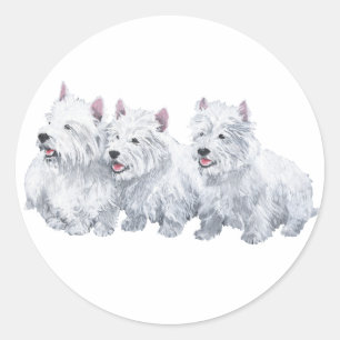 Drie West Highland White Terriers Ronde Sticker