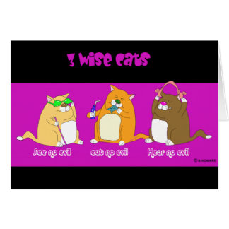 drie wijze katten