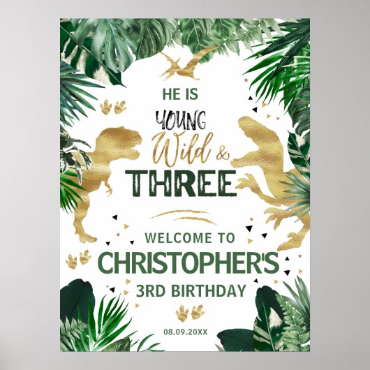 Drie Wild Dinosaur kinderen Birthday Party welkom Poster (Voorkant)