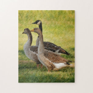Drie wilde ganzen Natuur kunstpuzzel Legpuzzel