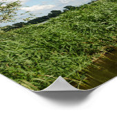 Drie windmolens en een poster van het kanaal (Hoek)