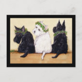Drie Wise Terriers Briefkaart (Voorkant)