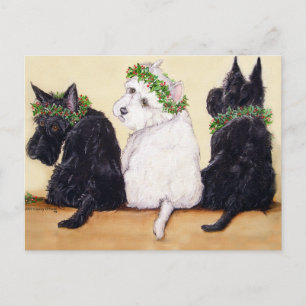 Drie Wise Terriers Briefkaart