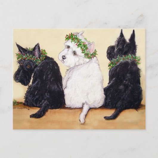 Drie Wise Terriers Briefkaart (Voorkant)