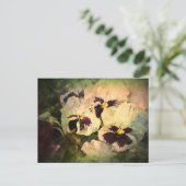 Drie witte pansies (getextureerd) briefkaart (Staand voorkant)