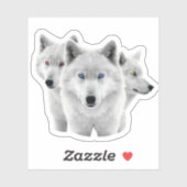 Drie witte wolven sticker (Vel)