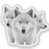Drie witte wolven sticker (Voorkant)