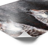 Drie Wolven Howling Foto Afdruk (Hoek)