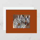 Drie Zebras Briefkaart (Voorkant / Achterkant)
