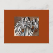 Drie Zebras Briefkaart (Voorkant)