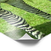 Drie zebras in Meadow View Foto Afdruk (Hoek)