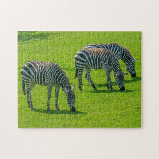 Drie zebra's legpuzzel (Horizontaal)