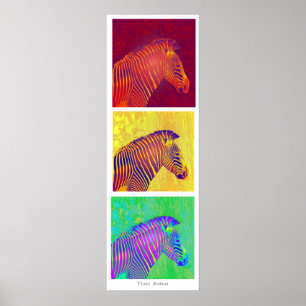 drie zebras poster