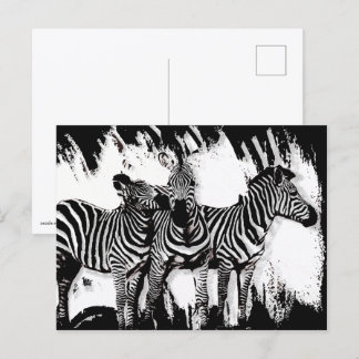 Drie zebra's schilderen briefkaart