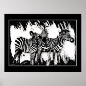 Drie zebra's schilderen poster (Voorkant)