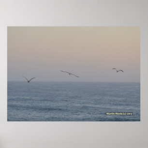 Drie zeegarren poster