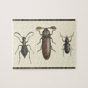 Drie Zij-aan-Zij Insecten Puzzel