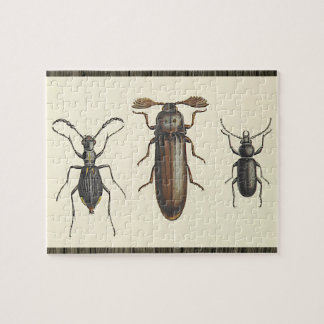 Drie Zij-aan-Zij Insecten Puzzel