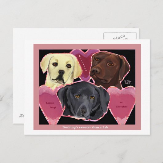 Drie zoete labs briefkaart (Voorkant / Achterkant)