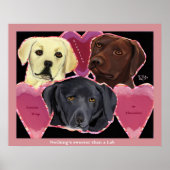 Drie zoete labs poster (Voorkant)