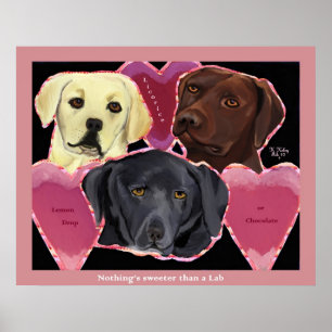 Drie zoete labs poster