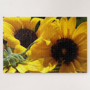 Drie zonnebloemen Botanische Kunst Fotografie Legpuzzel