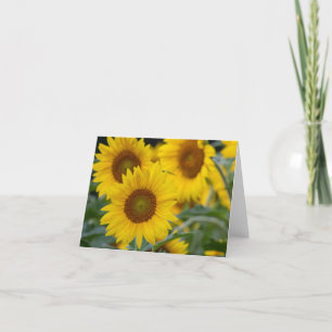 Drie Zonnebloemen Gevouwen Dankjewel Kaart