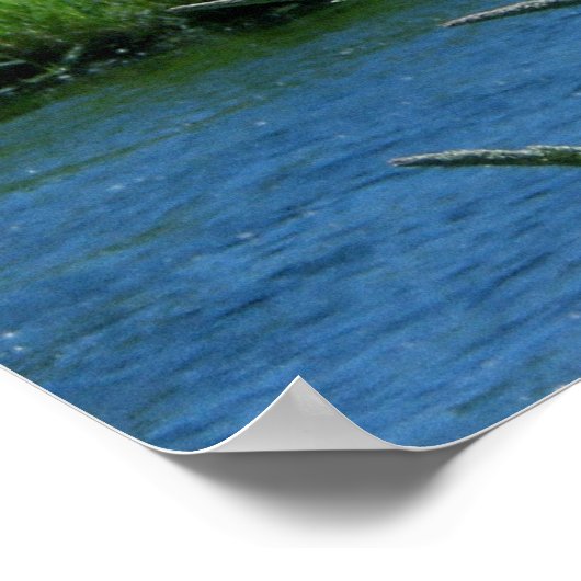 Drie zussen poster (Hoek)