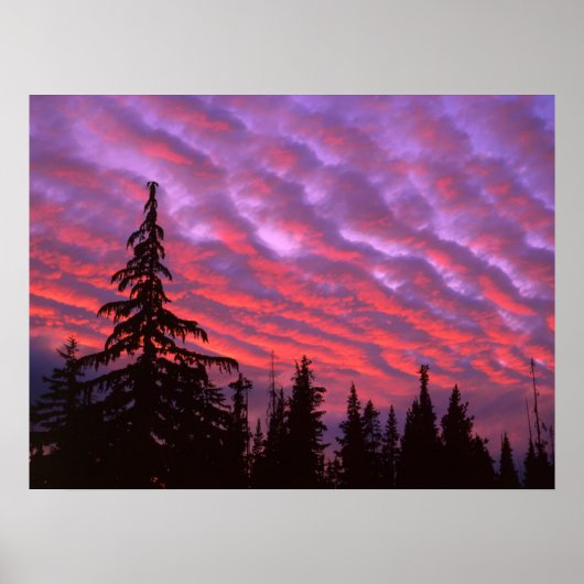 Drie zussen Wilderness, Oregon Poster (Voorkant)