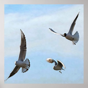 Drie zwarte gehelen van de Bosphorus-kunst Poster
