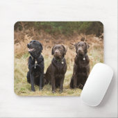 Drie zwarte labradors muismat (Met muis)